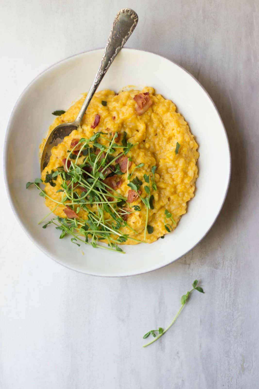 Overhead shot of risotto made with butternut squash and bacon in a white bowl and topped with microgreens. 
