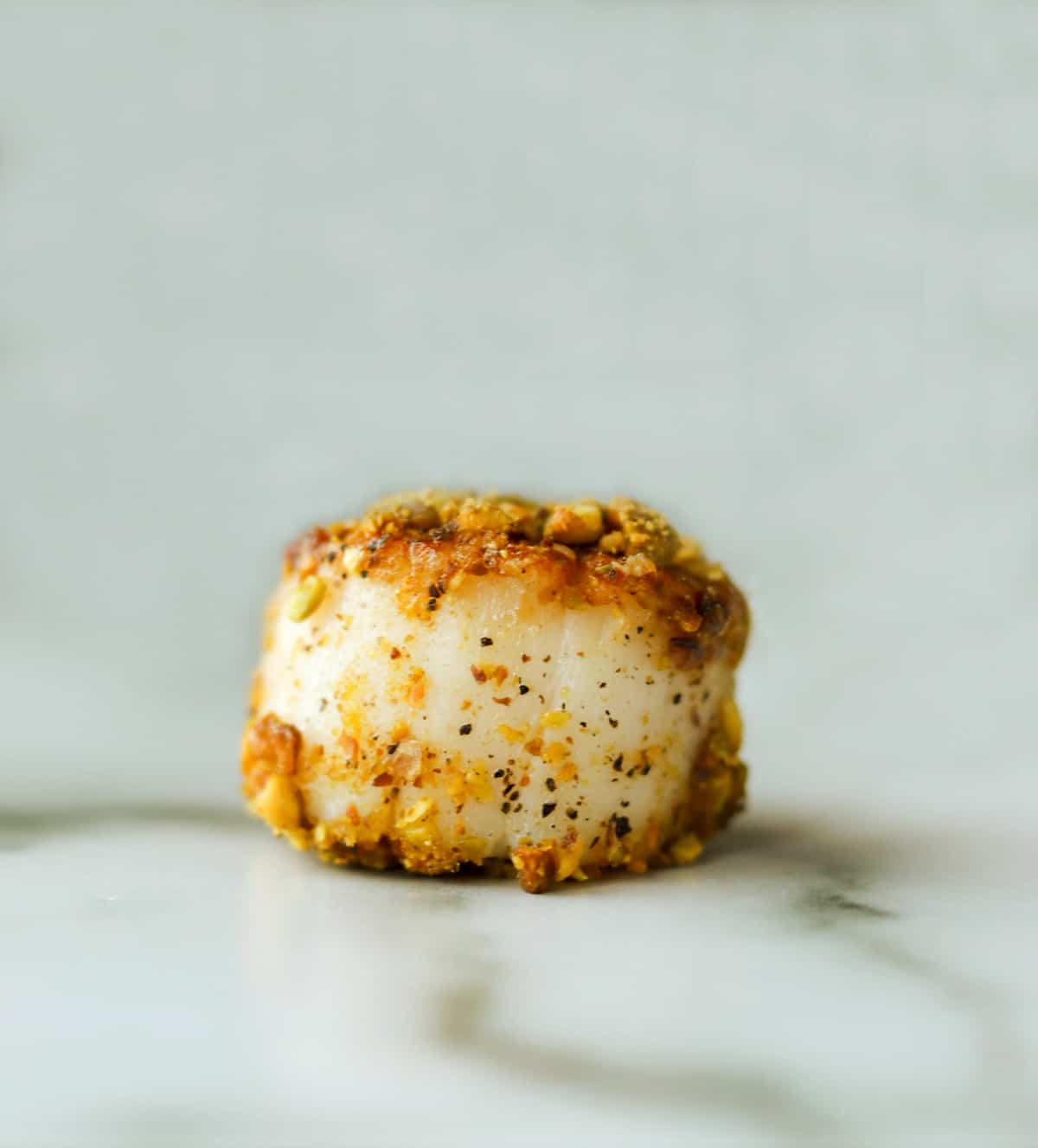 A straight on shot of a scallop on a marble board.