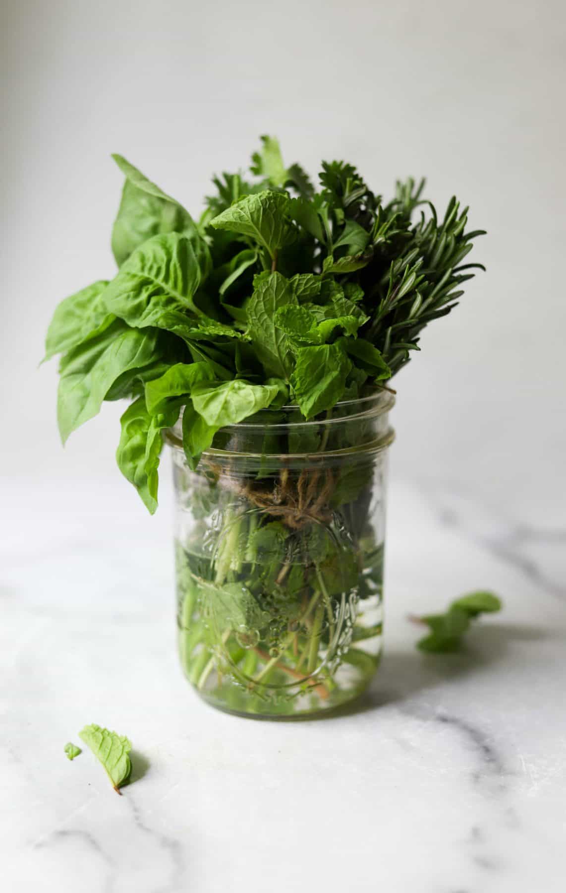 Bunches of herbs in a clear jar