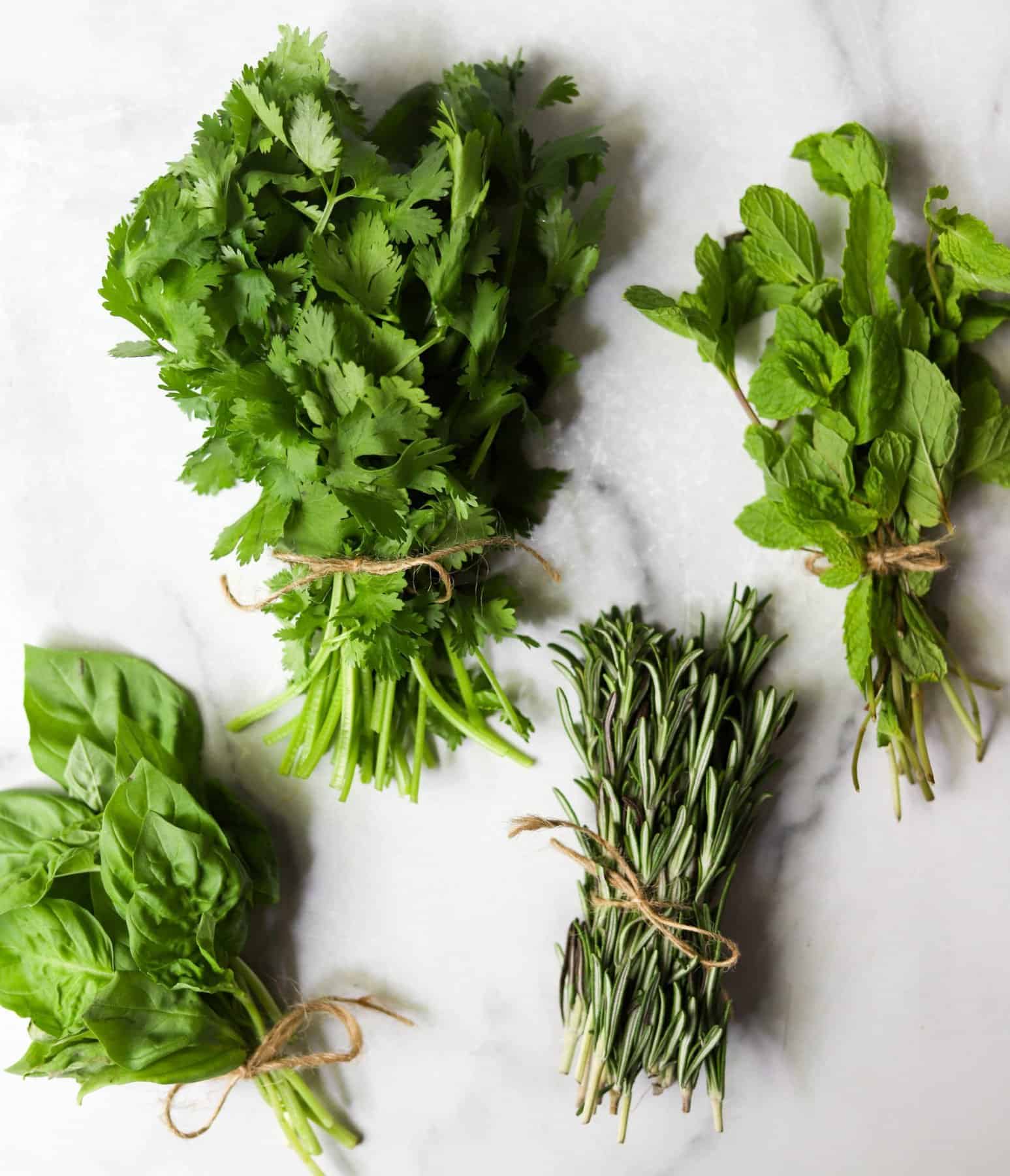 Bunches of herbs on a white marble backdrop