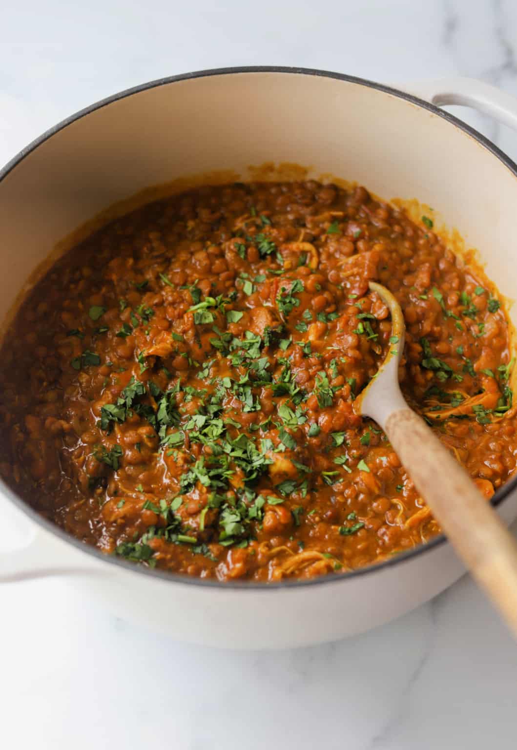 Chicken Lentil Curry - The Healthy Epicurean