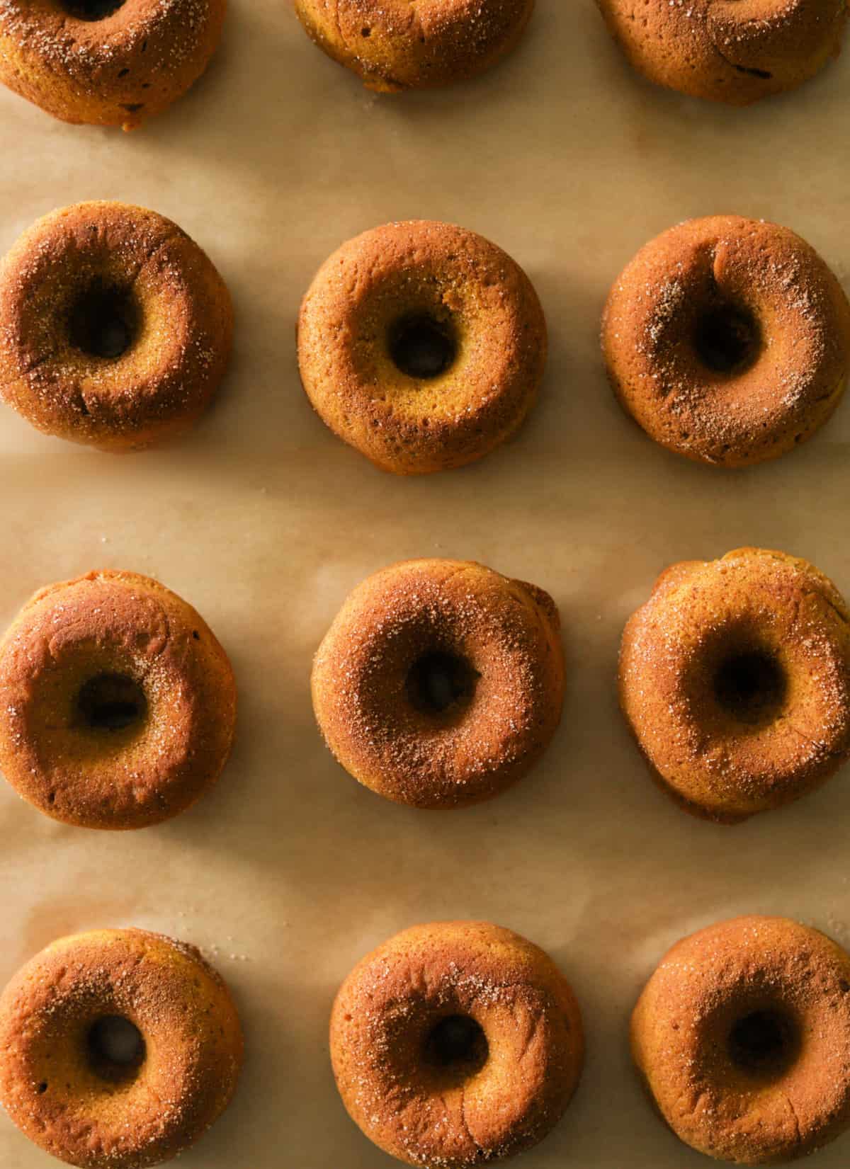An overhead shot of pumpkin spice donuts lined on parchment paper.