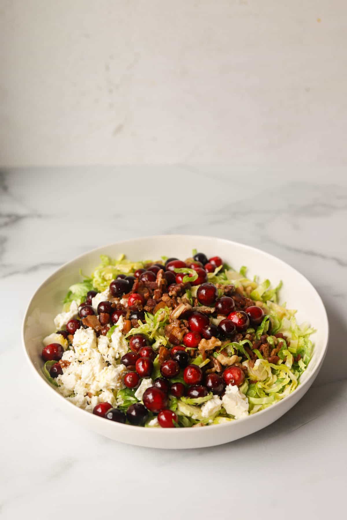 A side shot of a bowl of brussels sprouts cranberry salad.