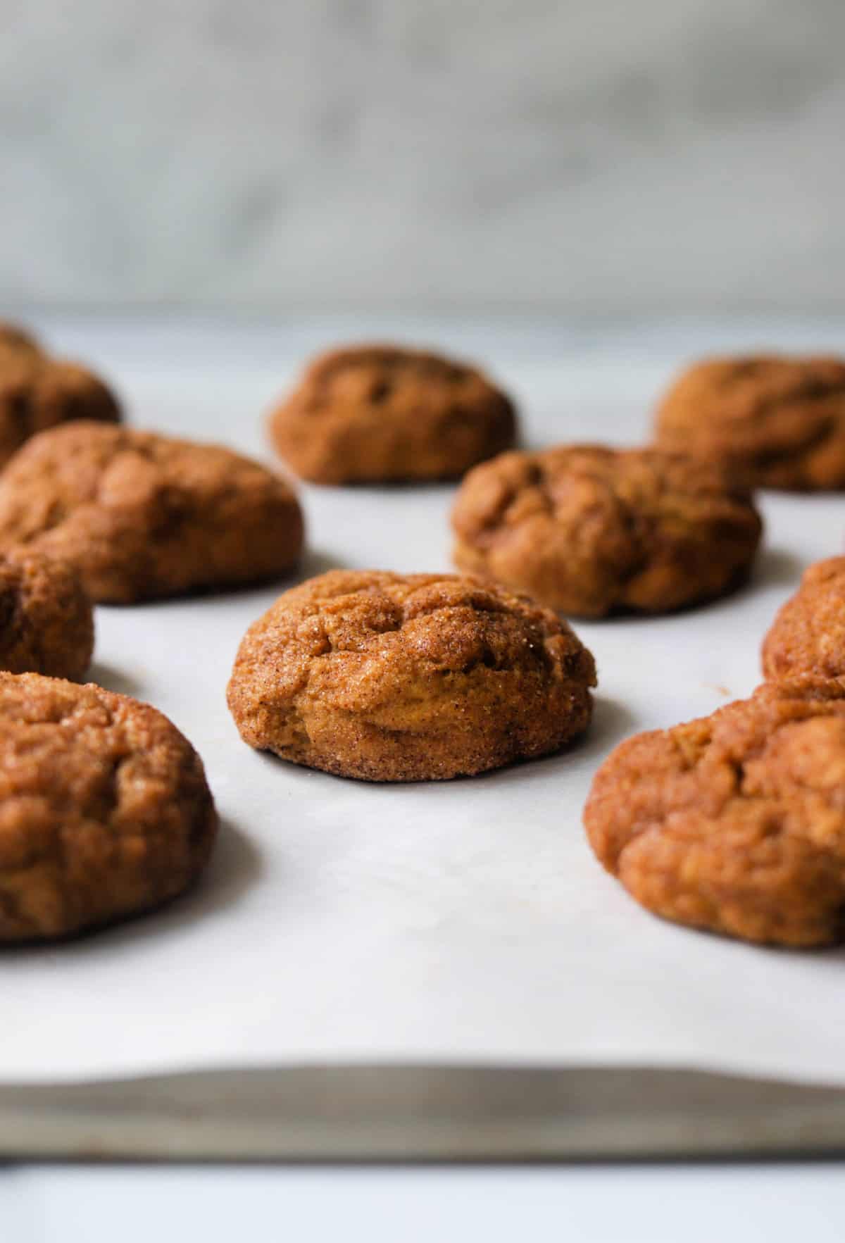 A side shot of a pan of pumpkin snickerdoodle cookies.