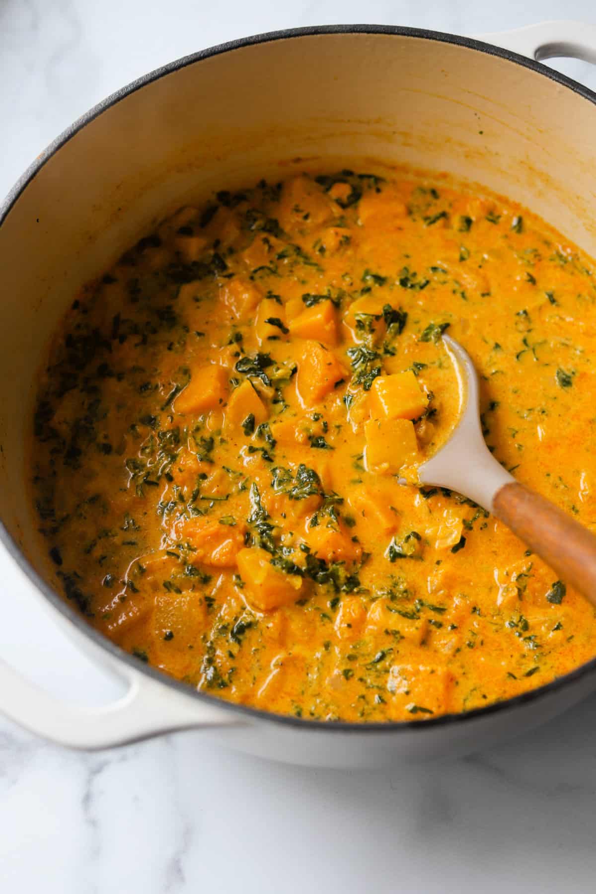 A side shot of a pot of butternut squash curry.