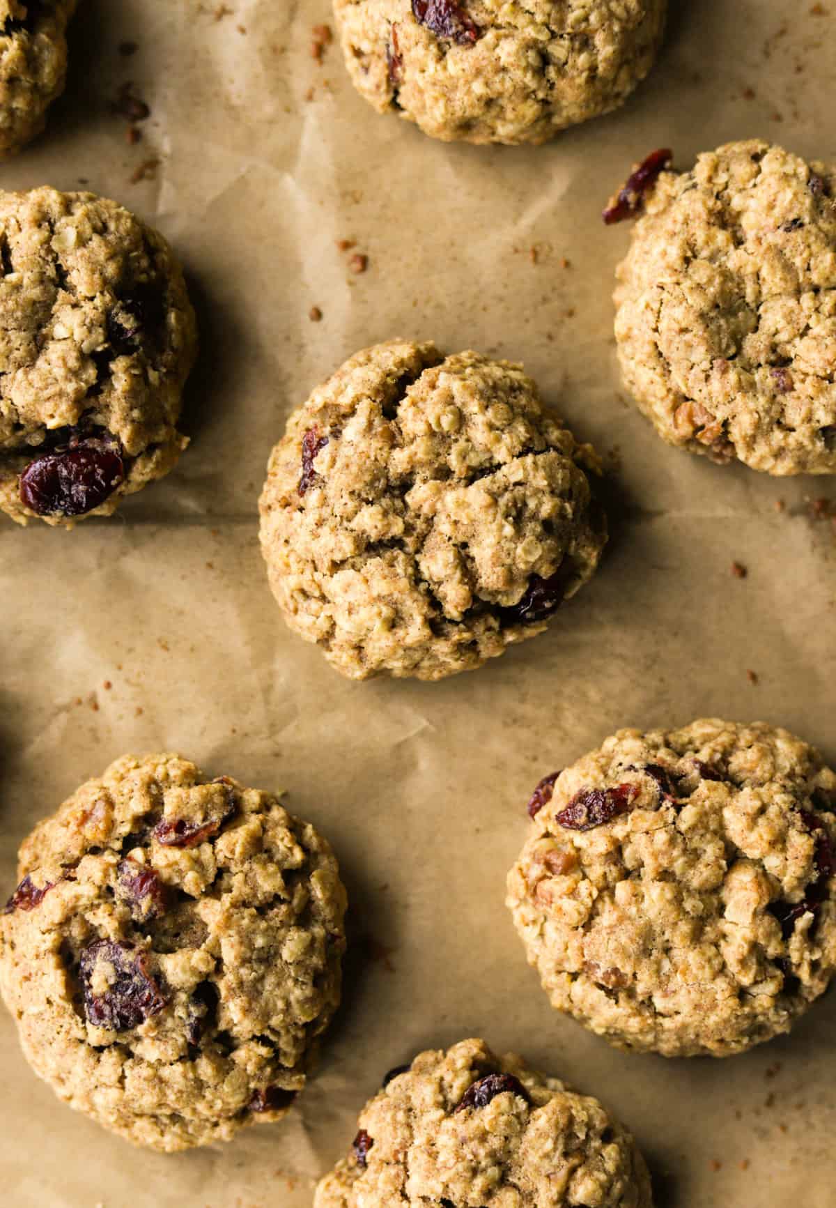 An overhead shot of cranberry oat cookies lined on parchment paper.