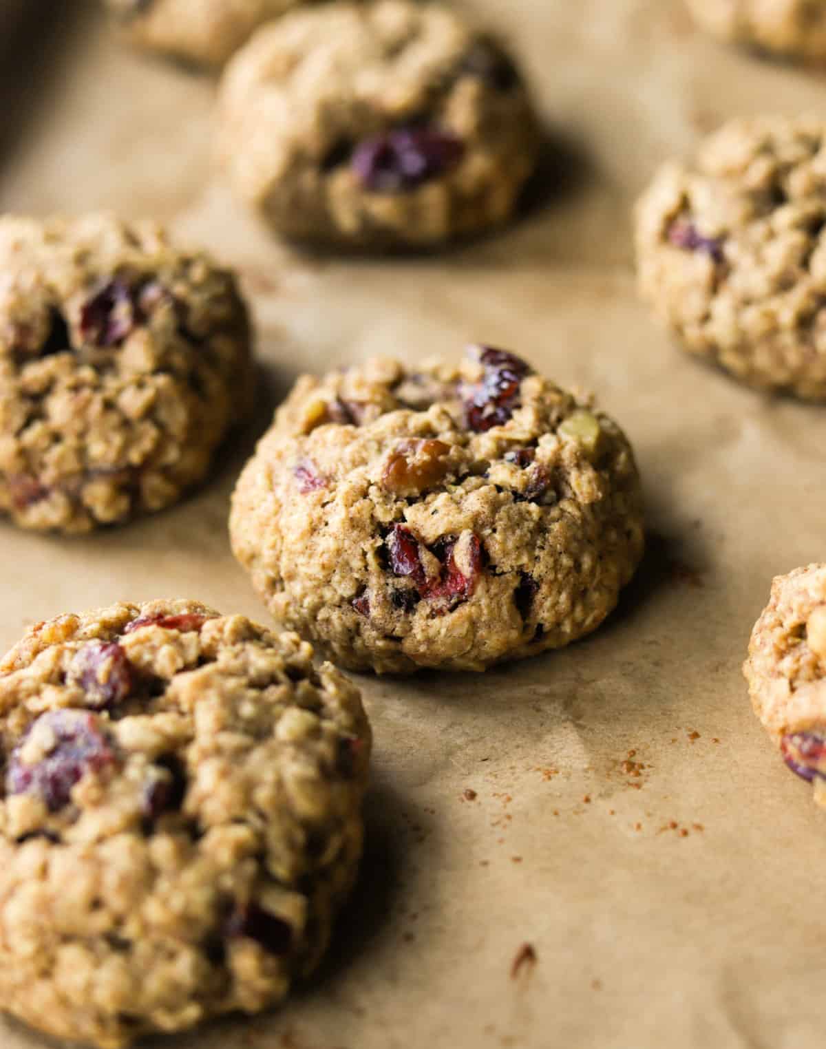 A side shot close up of an oatmeal cranberry walnut cookie.